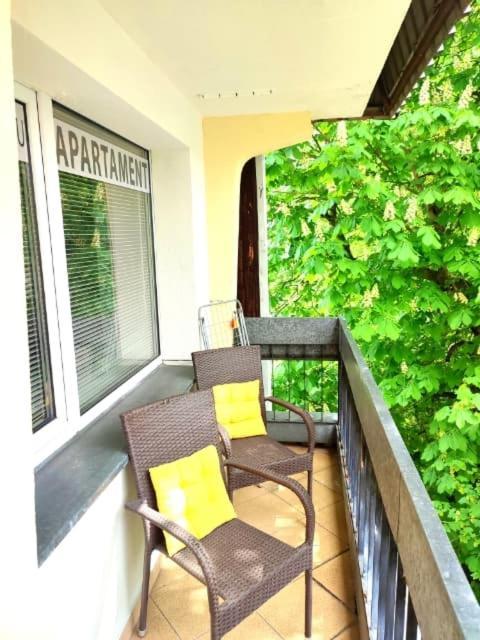 Apartament Bialy Mis Centrum Zakopane Exterior foto